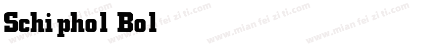 Schiphol Bold字体转换